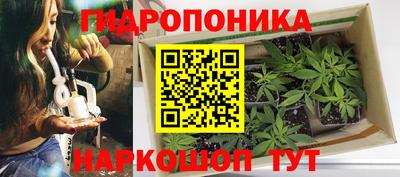 экстази Камышлов