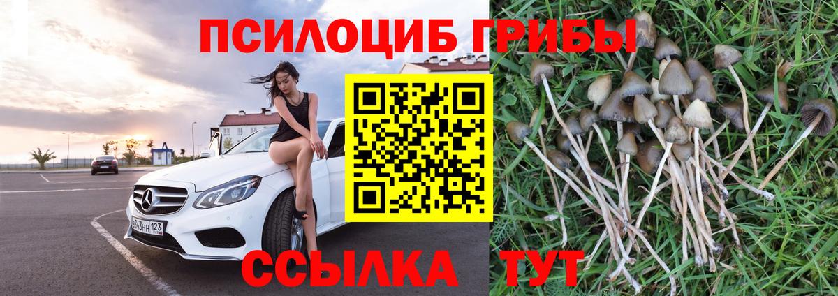 Псилоцибиновые грибы мухоморы Губкинский