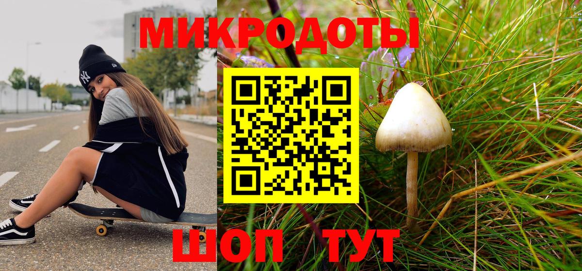 Псилоцибиновые грибы MAGIC MUSHROOMS  Псилоцибиновые грибы прущие грибы  Губкинский  Вход с VPN 